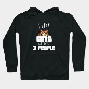 i like cats and maybe 3 people Hoodie